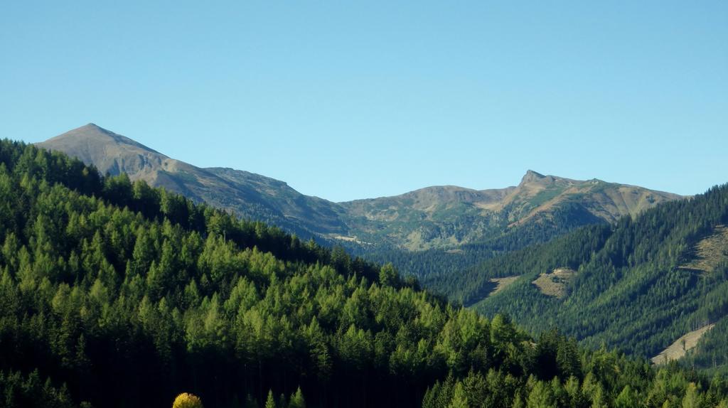 Chalet Hamito Hohentauern Cameră foto